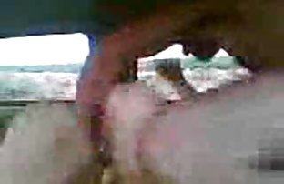 XXX سگ ماده, ناز, کون, از سریال هایسکسی کون