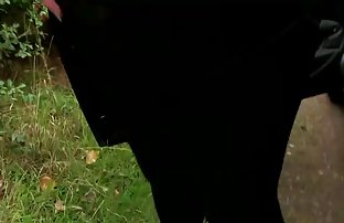 XXX دختر سریال سگسی داغ می شود فاک در آشپزخانه
